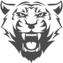 ico