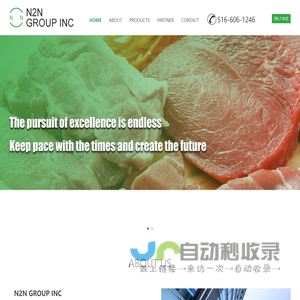 N2N GROUP INC